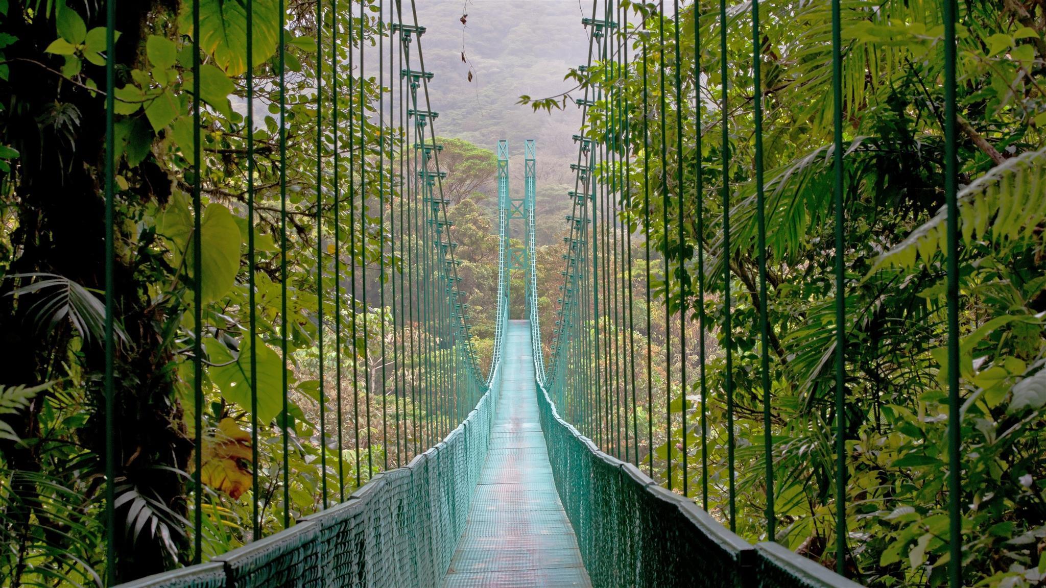 Облачный лес Монтеверде – Коста-Рика