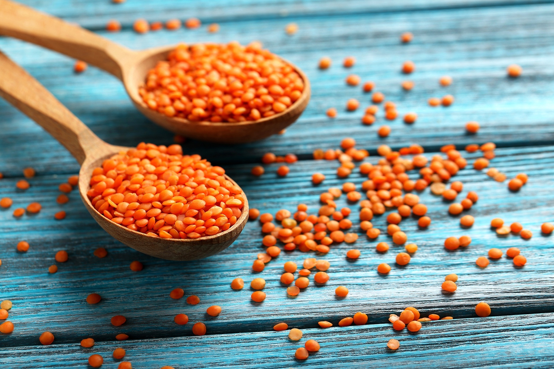 Чечевица красная фото. Экопак чечевица красная. Чечевица красная (Red Split Lentils). Чечевица консервированная Lentils. Чечевица оранжевая.