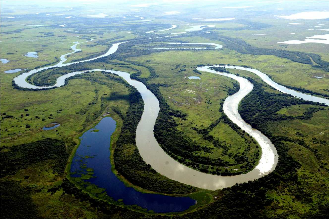 Исток реки Амазонка - фото и картинки: 60 штук